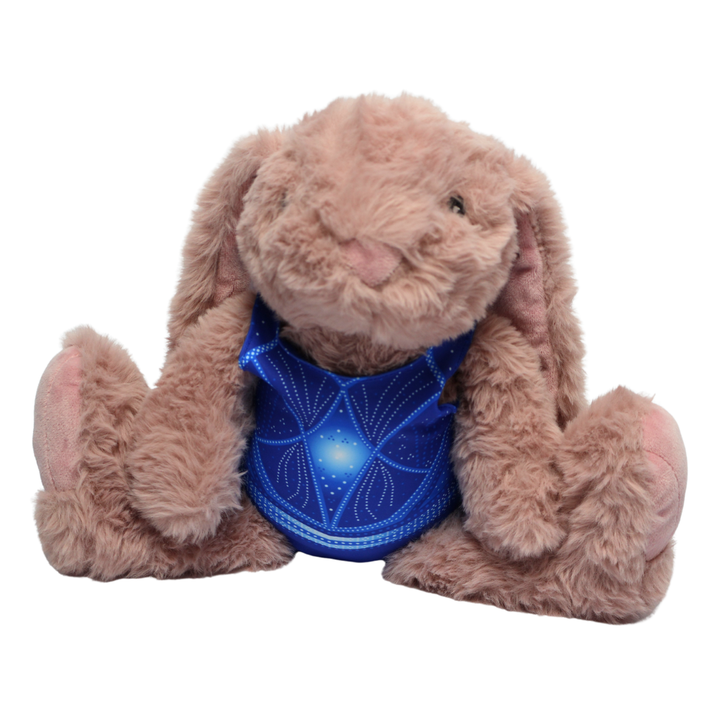 Konijn met Turnpakje Ariana Blauw